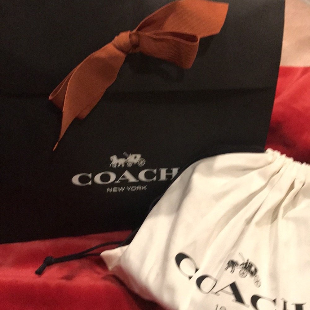 Disney X Coach Mickey Mouse kisslock Bag♥️ - Picture 12 of 14